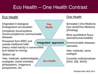 Ecohealth and One Health research in Southeast Asia: Examples, challenges, successes and outlook