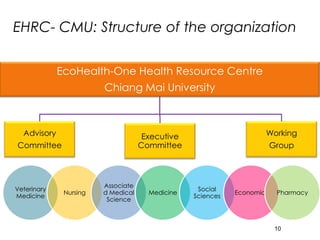 Interdisciplinary capacity building through Ecohealth-One Health Resource Centre at universities in Indonesia and Thailand: Experiences and challenges