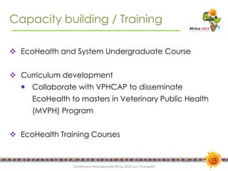 Interdisciplinary capacity building through Ecohealth-One Health Resource Centre at universities in Indonesia and Thailand: Experiences and challenges