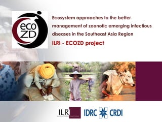 Interdisciplinary capacity building through Ecohealth-One Health Resource Centre at universities in Indonesia and Thailand: Experiences and challenges