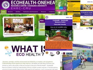 Interdisciplinary capacity building through Ecohealth-One Health Resource Centre at universities in Indonesia and Thailand: Experiences and challenges