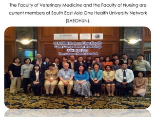 Interdisciplinary capacity building through Ecohealth-One Health Resource Centre at universities in Indonesia and Thailand: Experiences and challenges