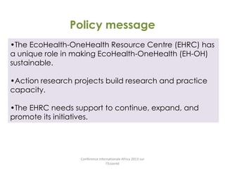 Interdisciplinary capacity building through Ecohealth-One Health Resource Centre at universities in Indonesia and Thailand: Experiences and challenges