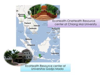 Interdisciplinary capacity building through Ecohealth-One Health Resource Centre at universities in Indonesia and Thailand: Experiences and challenges
