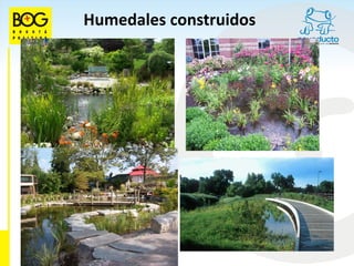 Humedales construidos
 