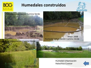 Humedales construidos
    Humedal Urbanización Camino Verde




                           Marzo 2008                         Mayo 2008
                                        Humedal Urbanización Camino Verde
Humedal Urbanización Camino Verde




                                                  Humedal Urbanización
                                                  Hatochico Cusezar
                      Febrero 2009
 