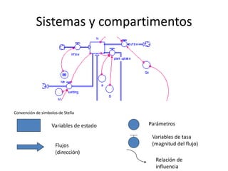 Sistemas y compartimentos




Convención de símbolos de Stella

                    Variables de estado   Parámetros

                                           Variables de tasa
                      Flujos               (magnitud del flujo)
                      (dirección)
                                            Relación de
                                            influencia
 