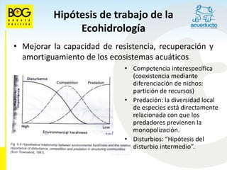Hipótesis de trabajo de la
               Ecohidrología
• Mejorar la capacidad de resistencia, recuperación y
  amortiguamiento de los ecosistemas acuáticos
                             • Competencia interespecífica
                               (coexistencia mediante
                               diferenciación de nichos:
                               partición de recursos)
                             • Predación: la diversidad local
                               de especies está directamente
                               relacionada con que los
                               predadores previenen la
                               monopolización.
                             • Disturbios: “Hipótesis del
                               disturbio intermedio”.
 