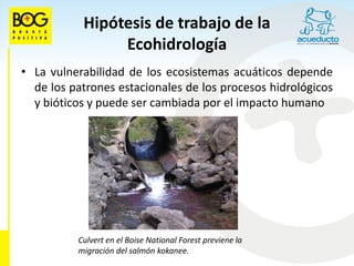 Hipótesis de trabajo de la
                Ecohidrología
• La vulnerabilidad de los ecosistemas acuáticos depende
  de los patrones estacionales de los procesos hidrológicos
  y bióticos y puede ser cambiada por el impacto humano




          Culvert en el Boise National Forest previene la
          migración del salmón kokanee.
 
