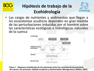 Hipótesis de trabajo de la
                      Ecohidrología
• Las cargas de nutrientes y sedimentos que llegan a
  los ecosistemas acuáticos dependen en gran medida
  de las perturbaciones inducidas por el hombre sobre
  las características ecológicas e hidrológicas naturales
  de la cuenca




  Figura 1. Diagrama simplificado de las relaciones entre los controles de los procesos
   Figura 1. Diagrama simplificado de las relaciones entre los controles de los procesos
  de cuenca, los procesos, hábitats acuáticos y biodiversidad. (Montgomery y Bolton, 2003)
   de cuenca, los procesos, hábitats acuáticos y biodiversidad. (Montgomery y Bolton, 2003)
 