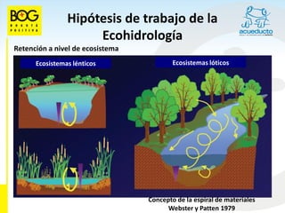 Hipótesis de trabajo de la
                     Ecohidrología
Retención a nivel de ecosistema
      Ecosistemas lénticos                Ecosistemas lóticos




                                  Concepto de la espiral de materiales
                                        Webster y Patten 1979
 