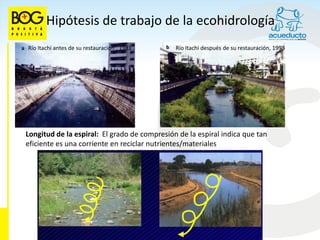 Hipótesis de trabajo de la ecohidrología
Río Itachi antes de su restauración , 1981    Río Itachi después de su restauración, 1993




Longitud de la espiral: El grado de compresión de la espiral indica que tan
eficiente es una corriente en reciclar nutrientes/materiales
 