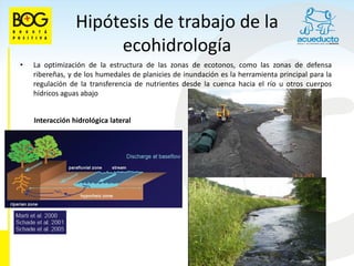 Hipótesis de trabajo de la
                      ecohidrología
•   La optimización de la estructura de las zonas de ecotonos, como las zonas de defensa
    ribereñas, y de los humedales de planicies de inundación es la herramienta principal para la
    regulación de la transferencia de nutrientes desde la cuenca hacia el río u otros cuerpos
    hídricos aguas abajo


    Interacción hidrológica lateral
 