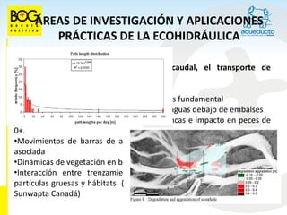 ÁREAS DE INVESTIGACIÓN Y APLICACIONES
        PRÁCTICAS DE LA ECOHIDRÁULICA

Estudio de las interacciones entre el caudal, el transporte de
sedimentos y el hábitat de especies

•Entendimiento de la geomorfología fluvial es fundamental
•Efectos del “hydropeaking” sobre especies aguas debajo de embalses
•Efecto de olas de embarcaciones sobre bancas e impacto en peces de
0+.
•Movimientos de barras de arena en ríos y expansión de vegetación
asociada
•Dinámicas de vegetación en barras de ríos con diferentes sustratos
•Interacción entre trenzamiento de ríos, hidráulica, transporte de
partículas gruesas y hábitats (sistema radiotelemétrico automático, río
Sunwapta Canadá)
 