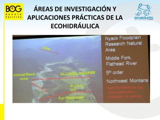 ÁREAS DE INVESTIGACIÓN Y
APLICACIONES PRÁCTICAS DE LA
       ECOHIDRÁULICA
 