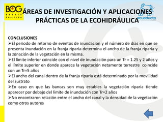 ÁREAS DE INVESTIGACIÓN Y APLICACIONES
           PRÁCTICAS DE LA ECOHIDRÁULICA

CONCLUSIONES
El periodo de retorno de eventos de inundación y el número de días en que se
presenta inundación en la franja riparia determina el ancho de la franja riparia y
la zonación de la vegetación en la misma.
El límite inferior coincide con el nivel de inundación para un Tr = 1.25 y 2 años y
el límite superior en donde aparece la vegetación netamente terrestre coincide
con un Tr=5 años
El ancho del canal dentro de la franja riparia está determinado por la movilidad
del sustrato
En caso en que las bancas son muy estables la vegetación riparia tiende
aparecer por debajo del límite de inundación con Tr=2 años
No encontraron relación entre el ancho del canal y la densidad de la vegetación
como otros autores
 