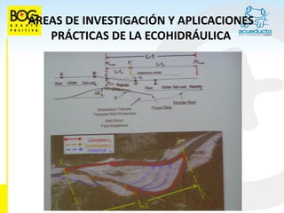 ÁREAS DE INVESTIGACIÓN Y APLICACIONES
   PRÁCTICAS DE LA ECOHIDRÁULICA
 