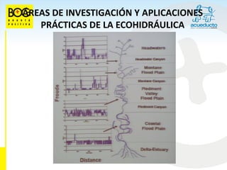 ÁREAS DE INVESTIGACIÓN Y APLICACIONES
   PRÁCTICAS DE LA ECOHIDRÁULICA
 