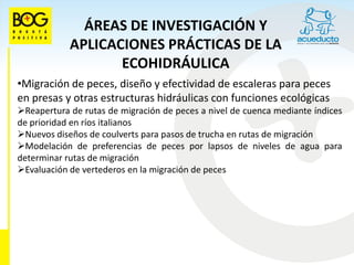 ÁREAS DE INVESTIGACIÓN Y
            APLICACIONES PRÁCTICAS DE LA
                   ECOHIDRÁULICA
•Migración de peces, diseño y efectividad de escaleras para peces
en presas y otras estructuras hidráulicas con funciones ecológicas
Reapertura de rutas de migración de peces a nivel de cuenca mediante índices
de prioridad en ríos italianos
Nuevos diseños de coulverts para pasos de trucha en rutas de migración
Modelación de preferencias de peces por lapsos de niveles de agua para
determinar rutas de migración
Evaluación de vertederos en la migración de peces
 