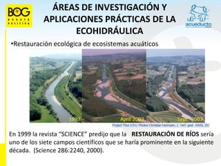 ÁREAS DE INVESTIGACIÓN Y
     ÁREAS DE INVESTIGACIÓN Y APLICACIONES
        APLICACIONES PRÁCTICAS DE LA
        PRÁCTICAS DE LA ECOHIDRÁULICA
                ECOHIDRÁULICA
•Restauración ecológica de ecosistemas acuáticos
•Restauración ecológica de ecosistemas acuáticos




En 1999 la revista “SCIENCE” predijo que la RESTAURACIÓN DE RÍOS sería
uno de los siete campos científicos que se haría prominente en la siguiente
década. (Science 286:2240, 2000).
 