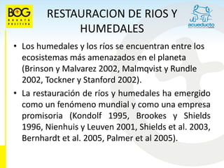 RESTAURACION DE RIOS Y
             HUMEDALES
• Los humedales y los ríos se encuentran entre los
  ecosistemas más amenazados en el planeta
  (Brinson y Malvarez 2002, Malmqvist y Rundle
  2002, Tockner y Stanford 2002).
• La restauración de ríos y humedales ha emergido
  como un fenómeno mundial y como una empresa
  promisoria (Kondolf 1995, Brookes y Shields
  1996, Nienhuis y Leuven 2001, Shields et al. 2003,
  Bernhardt et al. 2005, Palmer et al 2005).
 