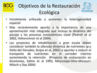 Objetivos de la Restauración
                  Ecológica
• Inicialmente enfocada a aumentar la heterogeneidad
  espacial
• Más recientemente apunta a la importancia de una
  aproximación más integrada que incluya la dinámica del
  paisaje y los procesos ecosistémicos clave (Pedroli et al
  2002, Hohensinner et al 2004).
• Los proyectos de rehabilitación a gran escala deben
  considerar también la alterada dinámica de nutrientes (p.e
  Delta del Danubio, Buijse et al, 2002) o apuntar a reducir el
  transporte de nutrientes en el corredor riverino
  aumentando la retención (Proyecto de restauración en
  Kissimmee, Dahm et al 1995; Mississippi-Ohio-Missouri:
  Mitsch y Day 2004)
 