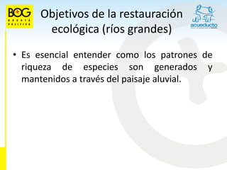 Objetivos de la restauración
      ecológica (ríos grandes)
• Es esencial entender como los patrones de
  riqueza de especies son generados y
  mantenidos a través del paisaje aluvial.
 