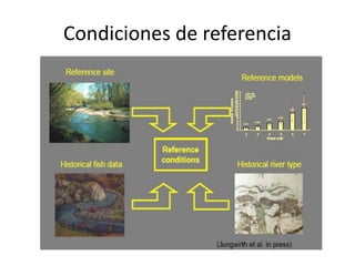 Condiciones de referencia
 