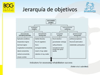 Jerarquía de objetivos
 
