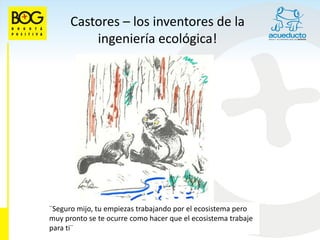 Castores – los inventores de la
          ingeniería ecológica!




¨Seguro mijo, tu empiezas trabajando por el ecosistema pero
muy pronto se te ocurre como hacer que el ecosistema trabaje
para ti¨
 