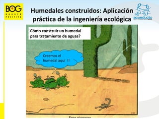 Humedales construidos: Aplicación
práctica de la ingeniería ecológica
Cómo construir un humedal
para tratamiento de aguas?



      Creemos el
      humedal aquí !!
 