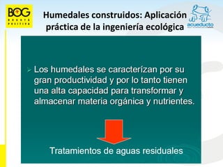 Humedales construidos: Aplicación
práctica de la ingeniería ecológica
 