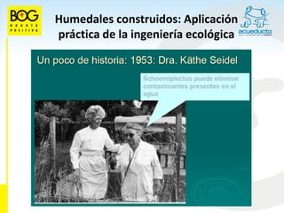 Humedales construidos: Aplicación
práctica de la ingeniería ecológica
 