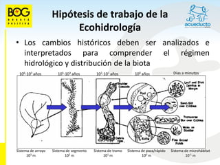 Hipótesis de trabajo de la
                         Ecohidrología
• Los cambios históricos deben ser analizados e
  interpretados para comprender el régimen
  hidrológico y distribución de la biota
 106-103 años          105-103 años        102-101 años          100 años              Días a minutos




Sistema de arroyo   Sistema de segmento   Sistema de tramo   Sistema de poza/rápido   Sistema de microhábitat
      103 m                102 m                101 m                100 m                    10-1 m
 