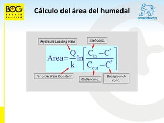 Cálculo del área del humedal
 