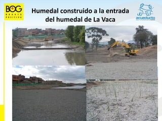 Humedal construido a la entrada
   del humedal de La Vaca
 