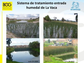 Sistema de tratamiento entrada
      humedal de La Vaca




     Mayo 15 2008           Junio 27 2008




        Julio 29 2009       Julio 29 2009
 