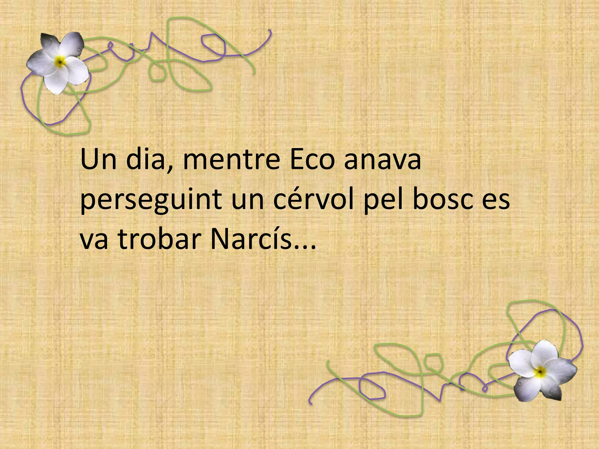 Un dia, mentre Eco anava perseguint un cérvol pel bosc es va trobar Narcís... 