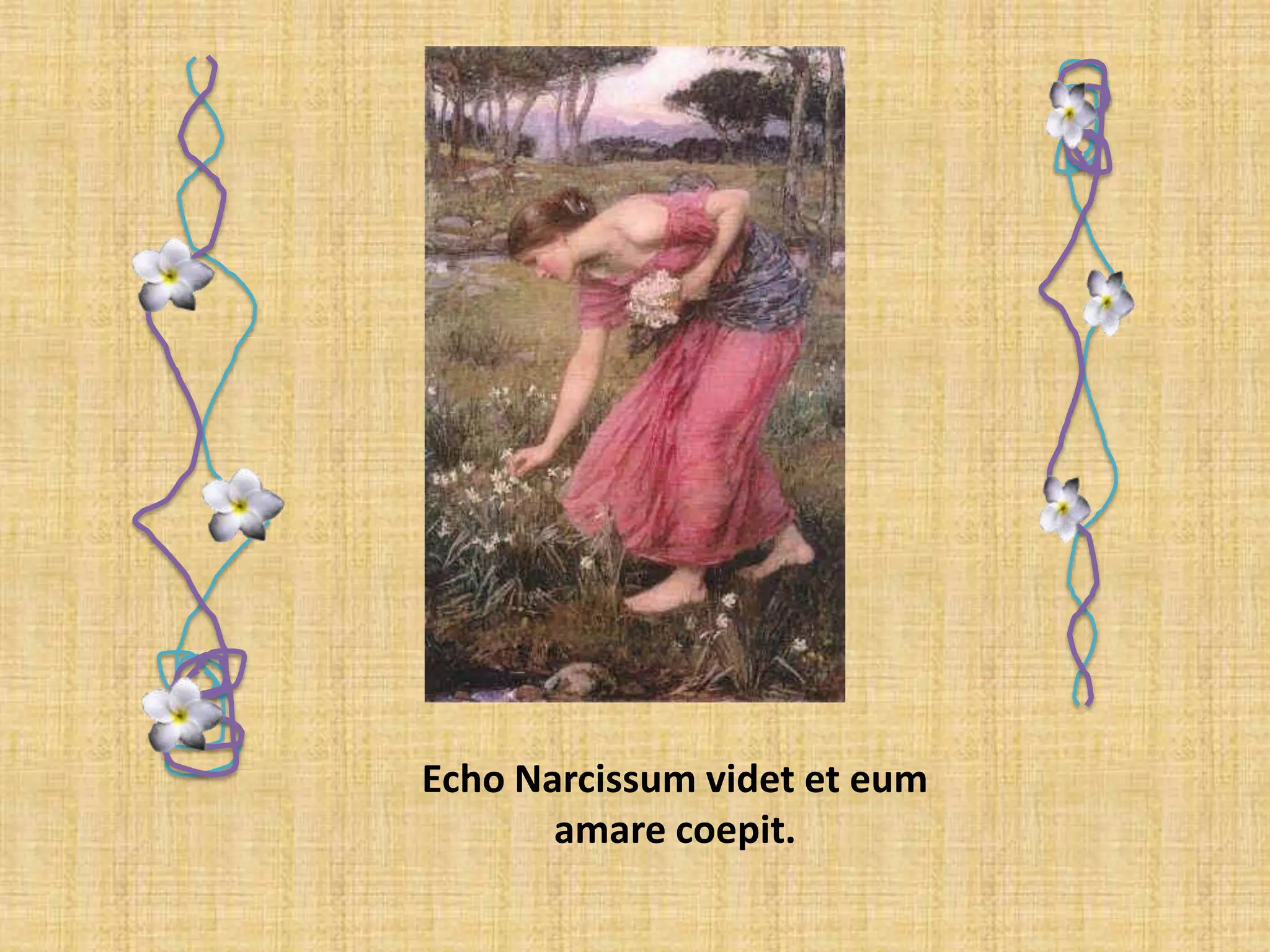 Echo Narcissum videt et eum amare coepit.