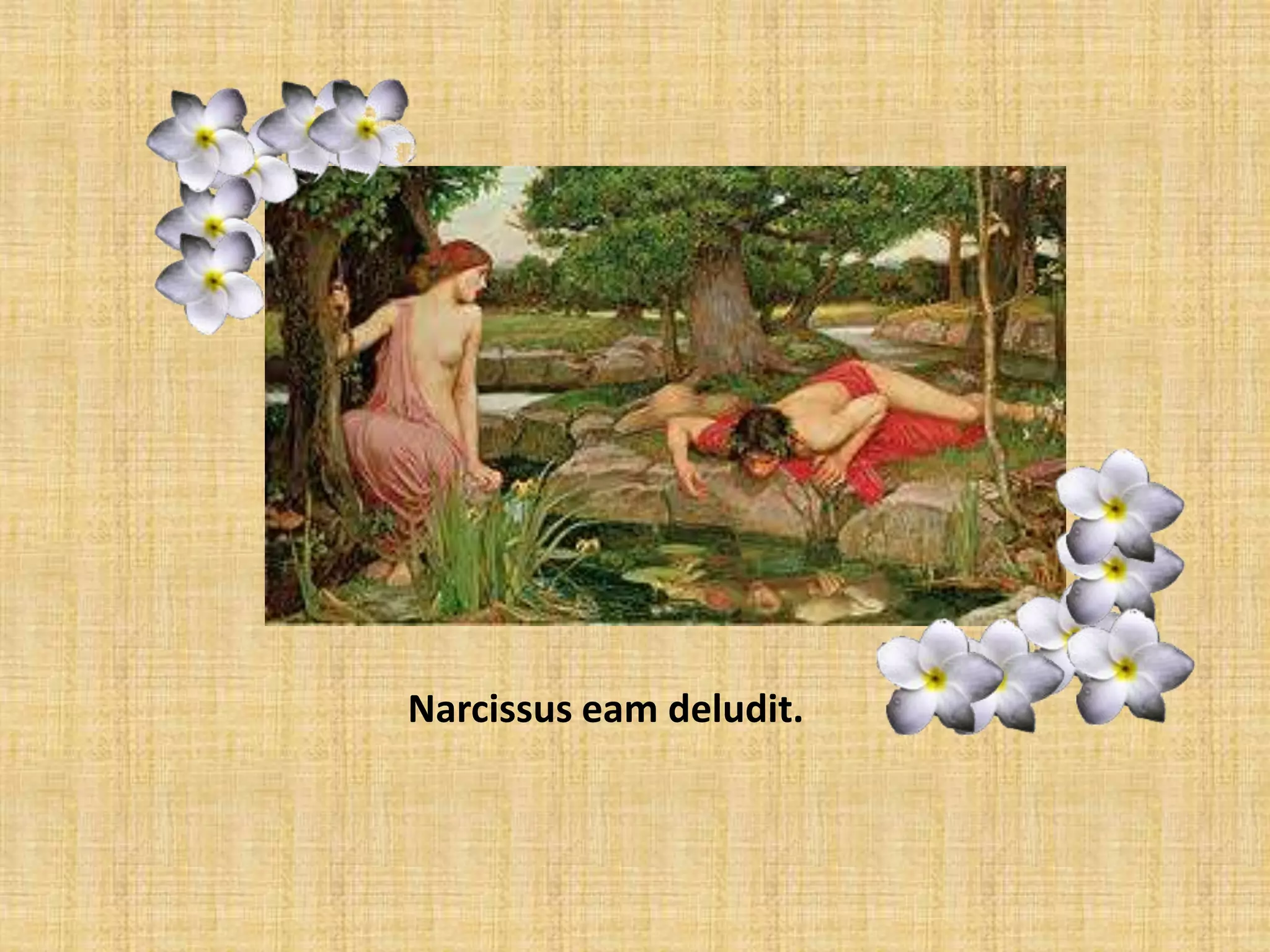 Narcissus eam deludit.