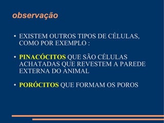 observação EXISTEM OUTROS TIPOS DE CÉLULAS, COMO POR EXEMPLO : PINACÓCITOS   QUE SÃO CÉLULAS ACHATADAS QUE REVESTEM A PAREDE EXTERNA DO ANIMAL  PORÓCITOS  QUE FORMAM OS POROS 