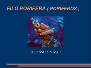 FILO PORIFERA  ( PORÍFEROS ) PROFESSOR  VASCO 