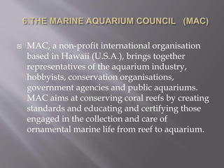  MAC, a non-profit international organisation
based in Hawaii (U.S.A.), brings together
representatives of the aquarium industry,
hobbyists, conservation organisations,
government agencies and public aquariums.
MAC aims at conserving coral reefs by creating
standards and educating and certifying those
engaged in the collection and care of
ornamental marine life from reef to aquarium.
 