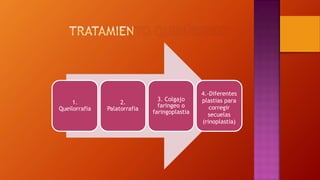 4.-Diferentes
plastias para
corregir
secuelas
(rinoplastia)
3. Colgajo
faringeo o
faringoplastia
1.
Queilorrafia
2.
Palatorrafia
 