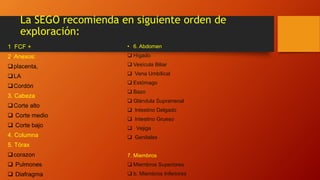 La SEGO recomienda en siguiente orden de
exploración:
1. FCF +
2. Anexos:
placenta,
LA
Cordón
3. Cabeza
Corte alto
 Corte medio
 Corte bajo
4. Columna
5. Tórax
corazon
 Pulmones
 Diafragma
• 6. Abdomen
 Hígado
 Vesícula Biliar
 Vena Umbilical
 Estómago
 Bazo
 Glándula Suprarrenal
 Intestino Delgado
 Intestino Grueso
 Vejiga
 Genitales
7. Miembros
 Miembros Superiores
 b. Miembros Inferiores
 