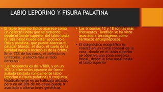 LABIO LEPORINO Y FISURA PALATINA
• El labio leporino típico aparece como
un defecto lineal que se extiende
desde el borde superior del labio hasta
la fosa nasal Puede estar asociado a
fisura palatina, que puede abarcar el
paladar blando, el duro, el suelo de la
cavidad nasal o incluso el de la órbita.
En el 75% de los casos, el defecto es
unilateral, y afecta más al lado
derecho.
• La frecuencia es de 1/800, y en un
50% la alteración aparece de forma
asilada (aislada (únicamente labio
leporino o fisura palatina) o conjunta.
Habitualmente es un hallazgo aislado,
pero en un 20% de los casos puede ir
asociado a alteraciones genéticas.
• Las trisomías 13 y 18 son las más
frecuentes. También se ha visto
asociado a teratógenos como
fármacos antiepilépticos.
• El diagnóstico ecográfico se
realiza en un corte coronal de la
cara, donde en el labio superior
se objetiva una zona anecoica,
lineal, desde la fosa nasal hasta
el labio superior
 