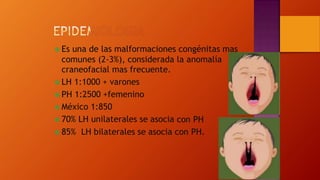  Es una de las malformaciones congénitas mas
comunes (2-3%), considerada
craneofacial mas frecuente.
 LH 1:1000 + varones
 PH 1:2500 +femenino
 México 1:850
 70% LH unilaterales se asocia
la anomalía
con PH
 85% LH bilaterales se asocia con PH.
 
