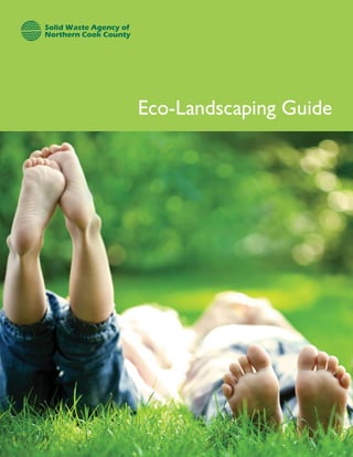 Eco-Landscaping Guide
 