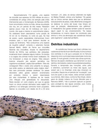 Ecolbrasil 05