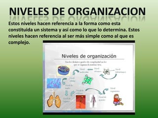 Estos niveles hacen referencia a la forma como esta
constituida un sistema y así como lo que lo determina. Estos
niveles hacen referencia al ser más simple como al que es
complejo.
 
